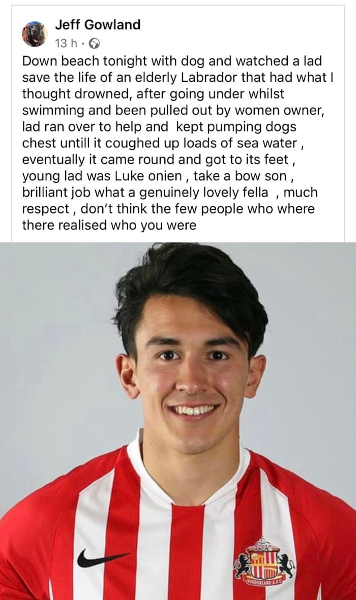 Luke O'Nien dog rescue