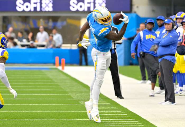 Mike Williams (81) makes a one handed catch 