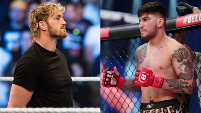 Logan Paul and Dillon Danis.