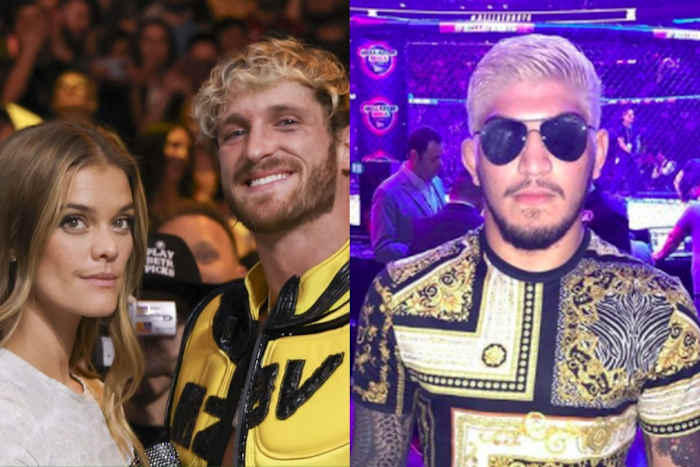 Nina Agdal with Logan Paul, and an image of Dillon Danis.