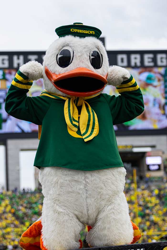 Oregon Duck 2