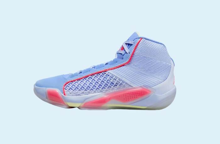 Nike Air Jordan in Periwinkle