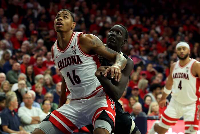 Keshad Johnson, Arizona Wildcats