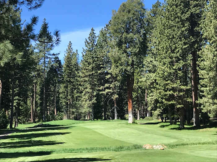 Towering pines surround Old Brockway's fifth hole.