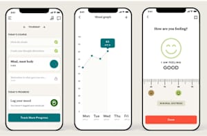 The app interface of Noom Mood