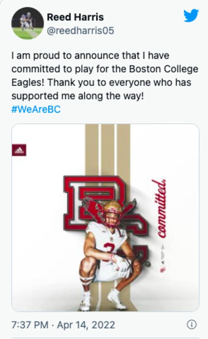 Screen Shot 2022-04-14 at 8.09.06 PM