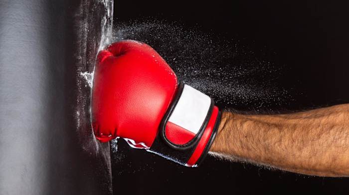 Best Free Standing Punching Bags_hero