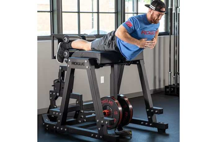 rogue donkey reverse hyper