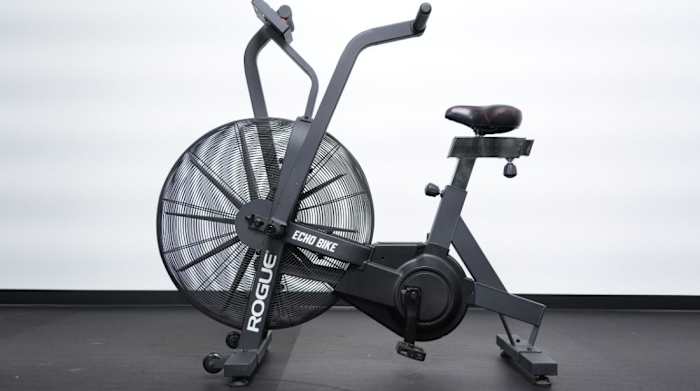 Rogue Echo Bike_hero