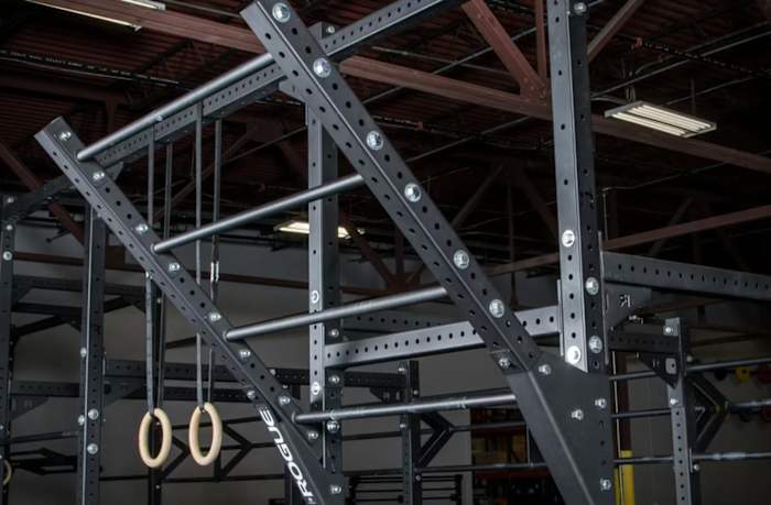 Rogue Monster Lite Flying Pull-Up Bar