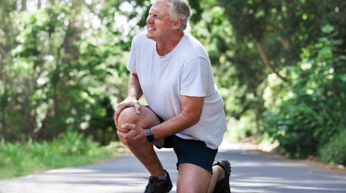 Best Joint Supplement for Knees_hero