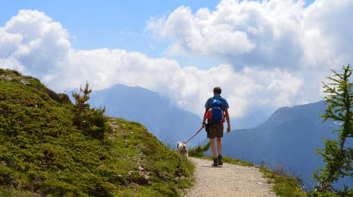 adidas hiking shoe review