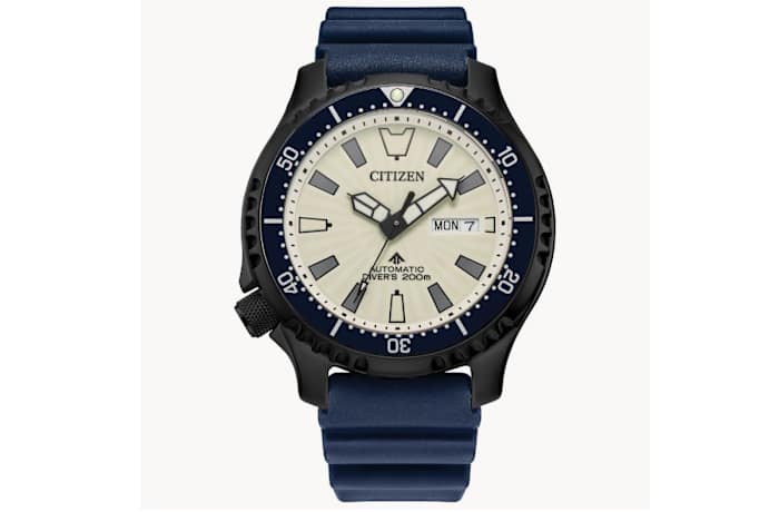 Promaster Dive Blue Citizen Watch