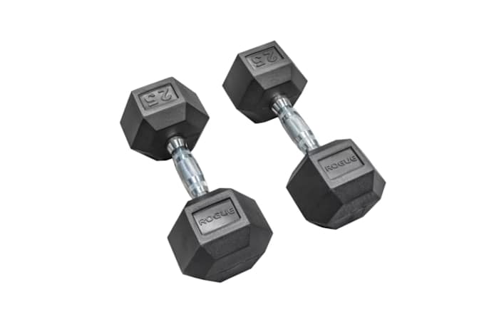 Rogue Dumbbell Set Canva