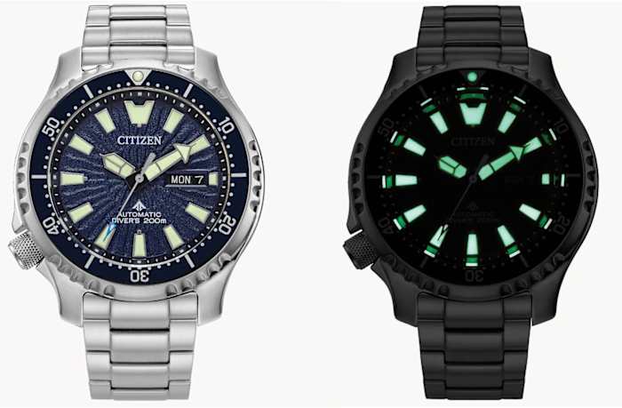 Citizen Watch Promaster Dive