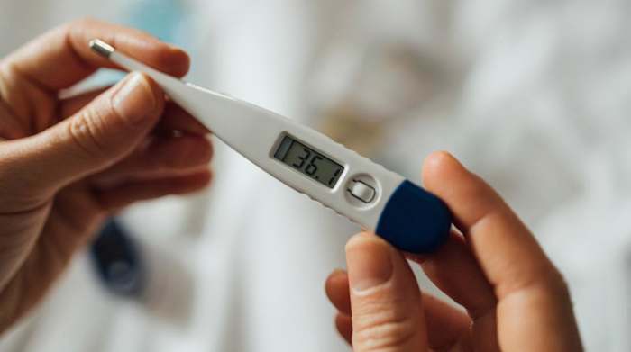 Best Thermometers_hero