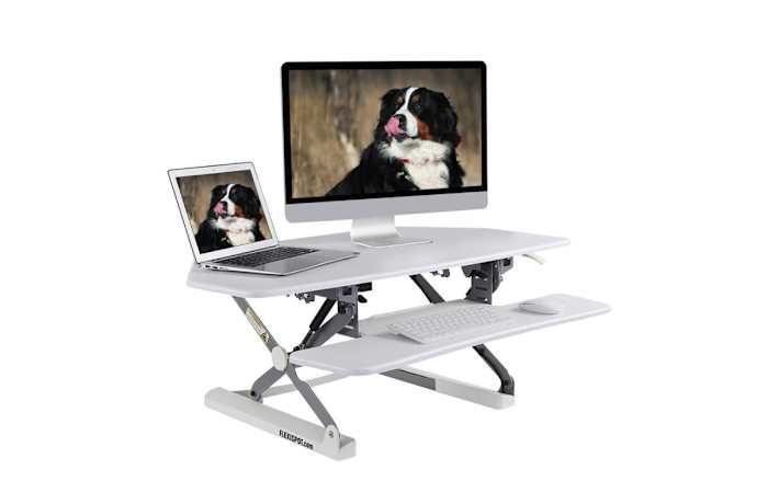 FlexiSpot M4 (FlexiSpot)