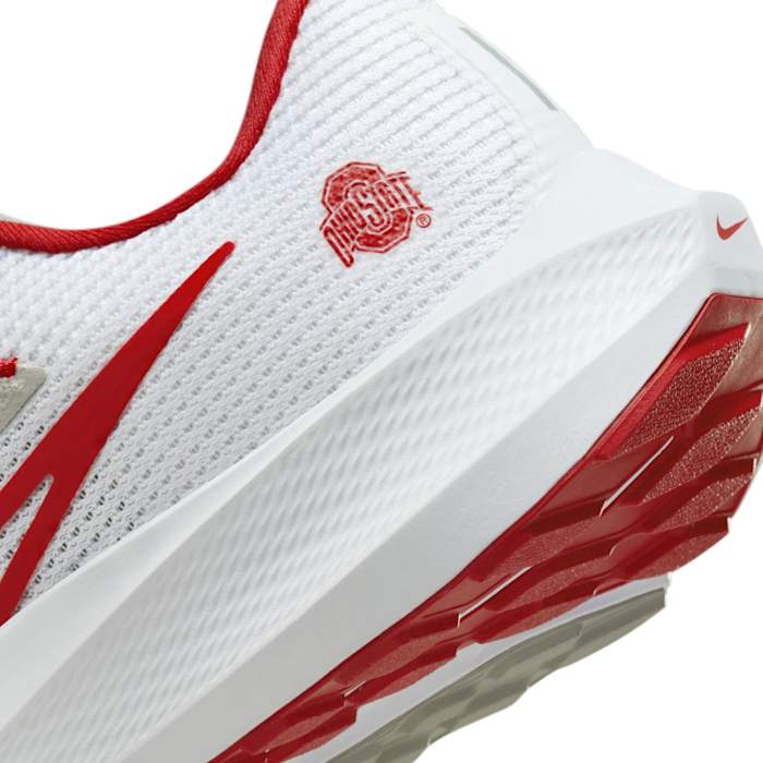 Ohio State Buckeyes NCAA Zoom Pegasus 40 - $139.99