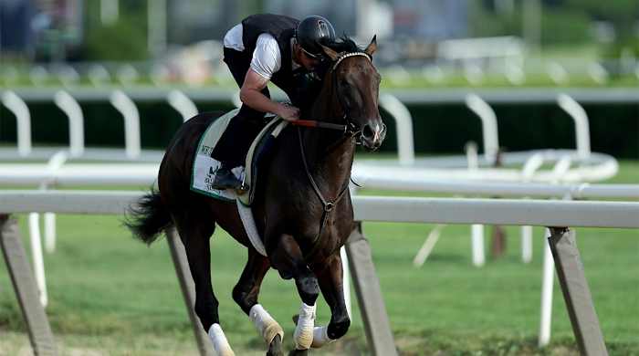 Jun 7, 2022; Elmont, NY, USA; We the People works out on the main track at Belmont Park.