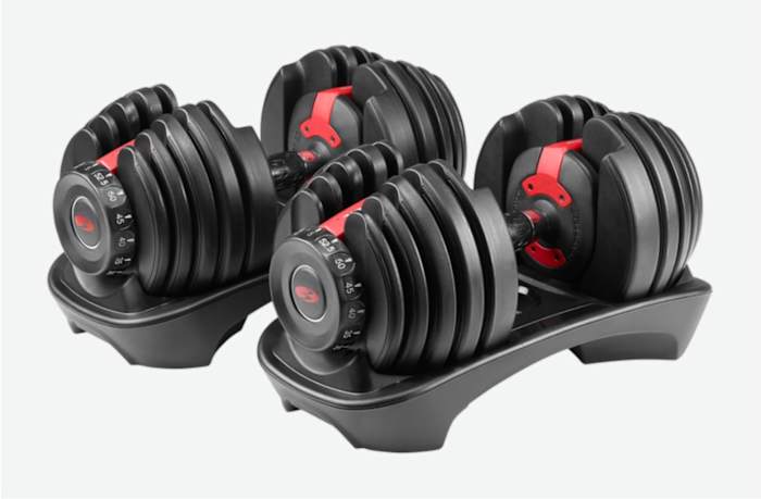 Bowflex Select Tech adjustable dumbbells