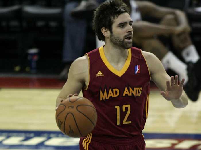 Mad Ants