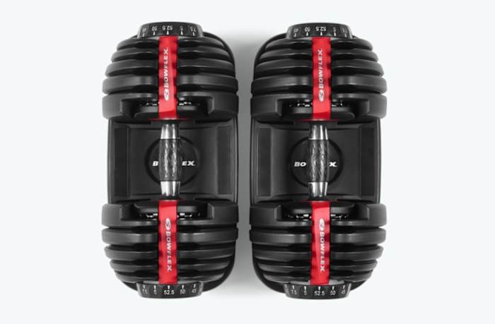 Bowflex SelectTech552 Dumbbells