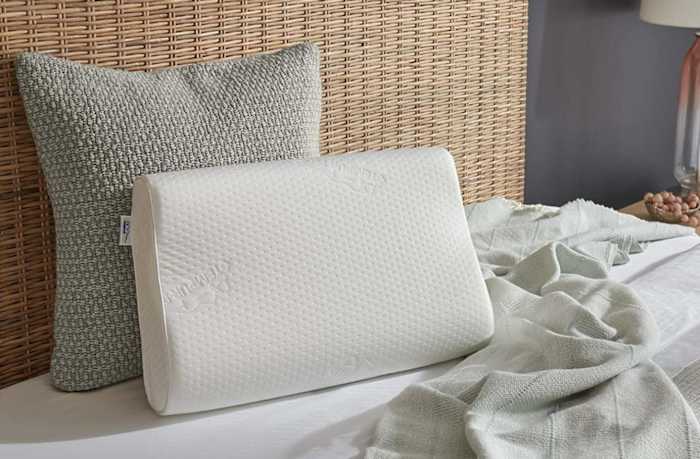 TEMPUR Ergo Neck Pillow