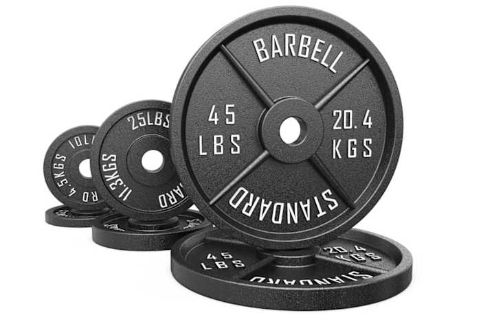 synergee weight plates
