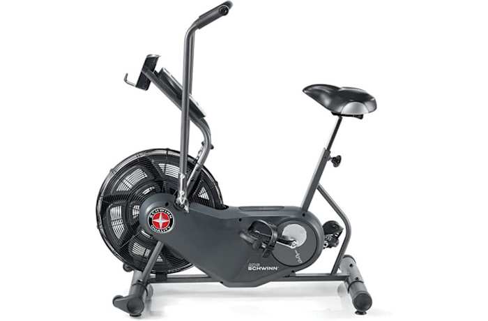 Schwinn Airdyne AD6