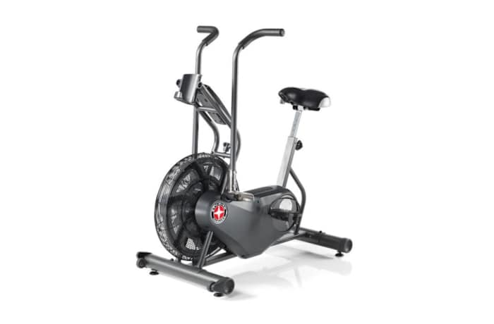 schwinn airdyne ad6