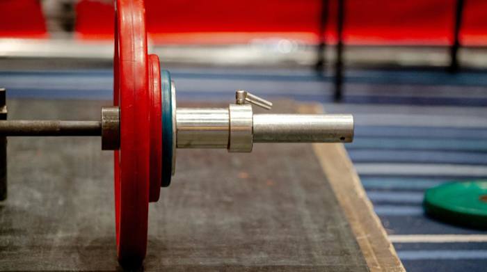 Best Bumper Plates_hero