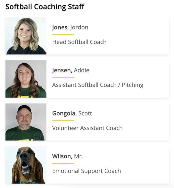 Mr. Wilson is listed on Arkansas Tech softball’s official roster.