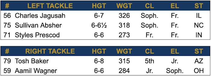 Offensive Tackle - 2024 Spring Depth Chart
