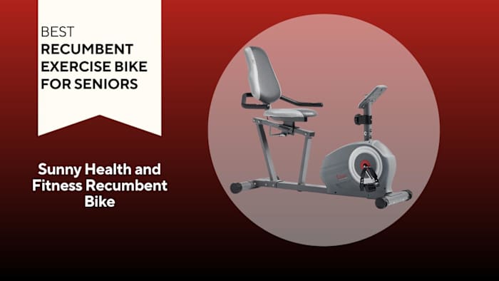 Sunny Health and Fitness Recumbent