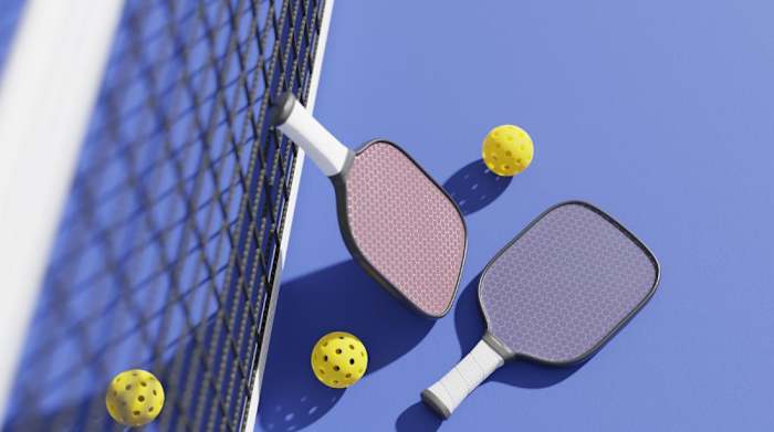 Best Pickleball Paddles _Hero