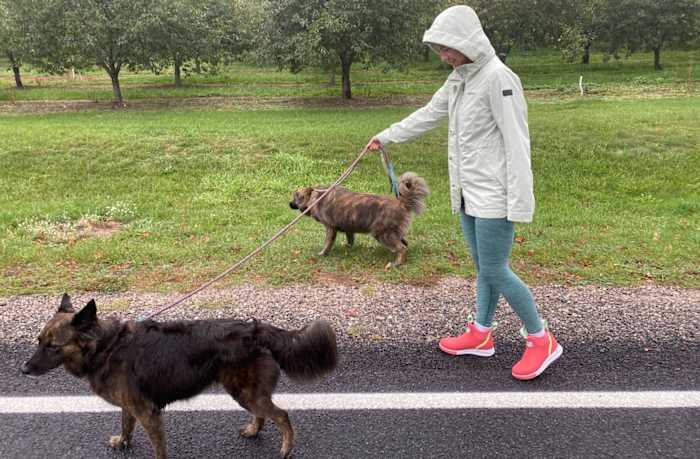 Xtratufs Wheelhouse OG Photo