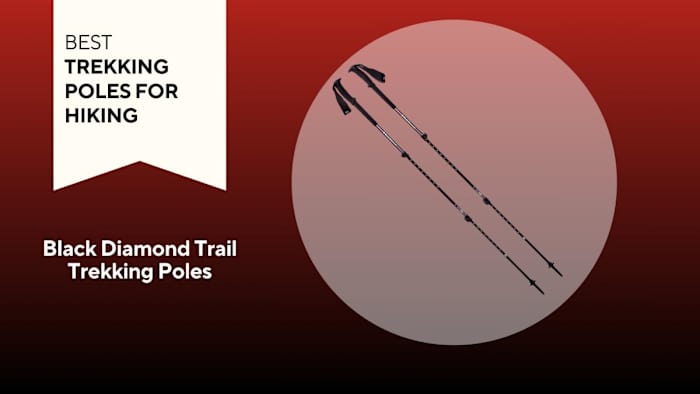Best Trekking Poles