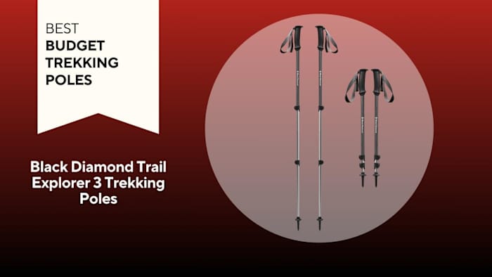 Best Budget Trekking Poles