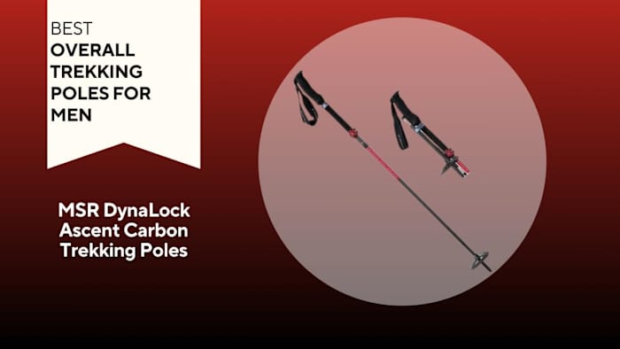 Best Trekking Poles for Men