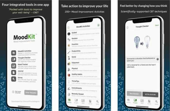 Moodkit app interface