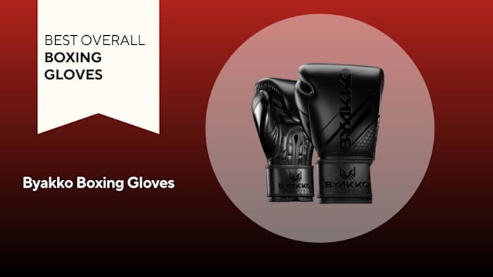 Byakko Boxing Gloves - Best Overall Boxing Gloves