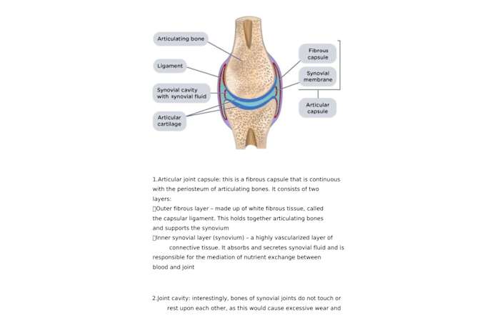 issa-pilates-chapter