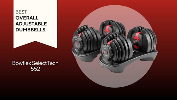 black adjustable dumbbells bowflex selecttech 552 on red background