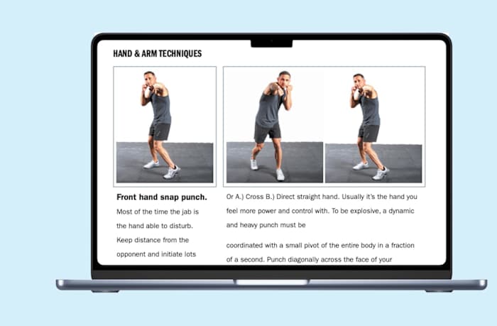 ISSA Kickboxing Review Inlines- Techniques