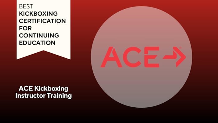 SI - ACE -Kickboxing Instructor Training