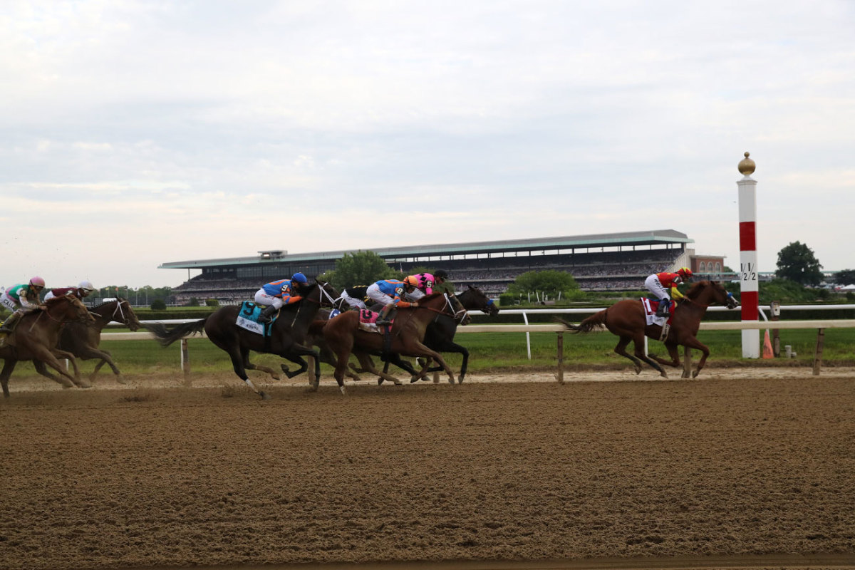 belmont-justify-tringal-04.jpg