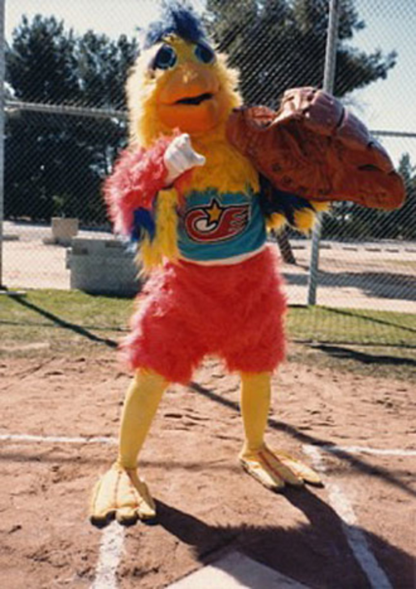 chicken-bunch2.jpg
