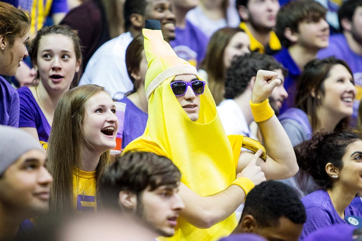 LSU_1.jpg