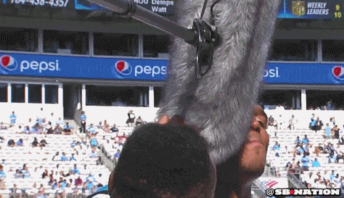 Cam.gif