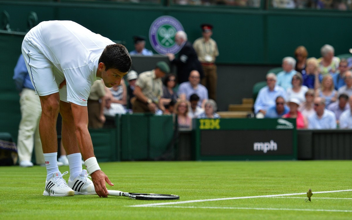 GettyImages-478965508_master.jpg